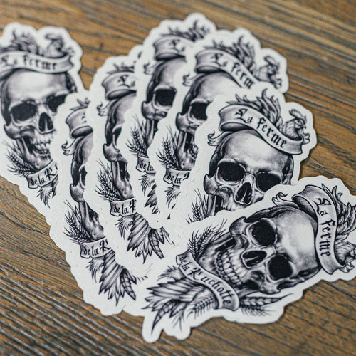 Lot de 5 Stickers Skull